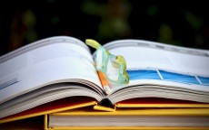 剖析大学生贷款原因，多维度视角下的深入探究