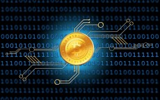 极速贷额度超越循环贷，金融创新引领信贷新潮流