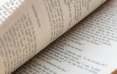 征信非循环贷逾期一个月，影响、应对与修复全攻略