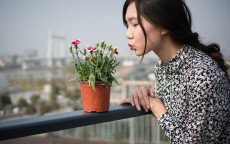 整容可以贷款吗，美丽与风险的交织