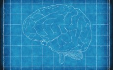 个人消费贷是循环货吗？深度剖析其本质与运作模式