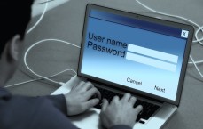 非循环贷帐户信息汇总，全面解析与管理指南