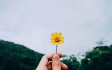 循环贷可以归为一笔来算吗？