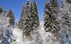 真正能借钱的 APP，雪中送炭还是暗藏玄机？