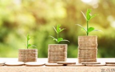 抵押车本贷款，机遇与风险并存的金融选择