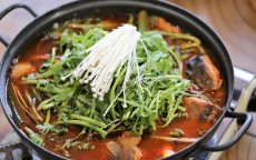 2024 新口子，真有不看征信和风控的馅饼？