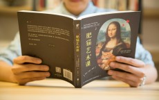 有循环贷贷款怎么办，全面解析与应对策略