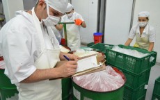 冒名贷款能不能立案？