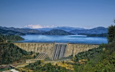 国家储备林贷款，绿水青山的金融守护者